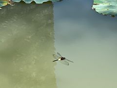 -金桥现代产业园区-停车场