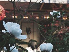 -龙华寺