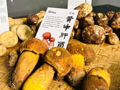 -滇野云南野生菌餐厅(陕西南路店)