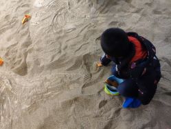 -恐龙探索乐园(磁器口店)