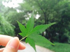 -素清香(解放路店)