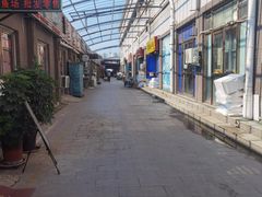 -中环花鸟鱼虫市场