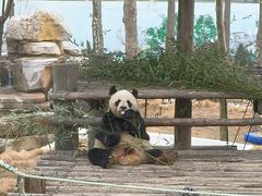 -西霞口神雕山野生动物世界