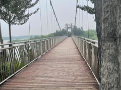 -西青郊野公园