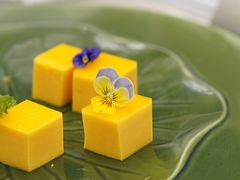 -常州花鸟园酒店(西太湖品牌优选店)