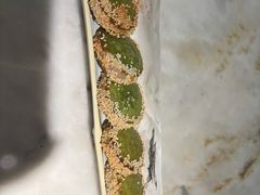 -绿茶餐厅(茂业天地店)