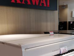 -柏斯音乐艺术中心·钢琴·吉他(上音店)