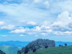 -灵山