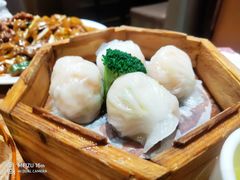-粤食堂(天津和悦汇店)
