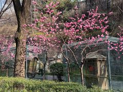 -西安曲江寒窑遗址公园