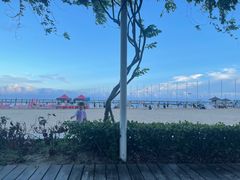 -碧海金沙