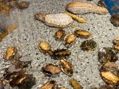 -开海·红岛海鲜虾水饺(石老人店)