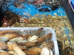 水产区-盒马鲜生(曜一城店)