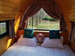 -黄海国家森林公园