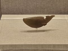 -四川宋瓷博物馆