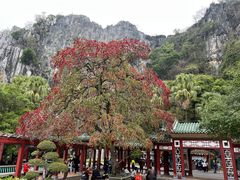 -星湖旅游景区七星岩