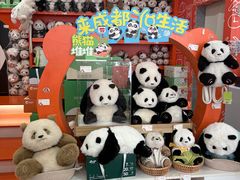 -熊猫邮局(少城店)