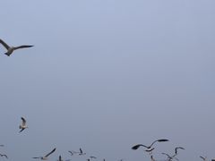 -星海广场