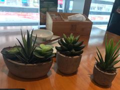 -莲香西域·正宗新疆菜(龙华店)