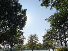 -飞来湖湿地公园