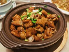 -東大方(安吉灵芝店)
