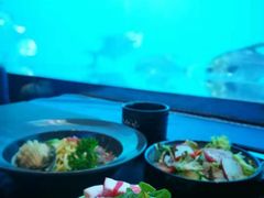-瑞德姆美人鱼海底演艺主题餐厅(亚龙湾店)