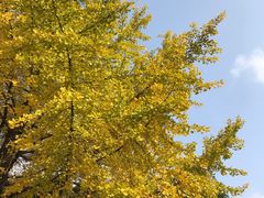 -苏州河梦清园环保主题公园