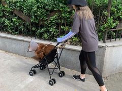 -顽皮家族宠物医院(浦东北园路分院)