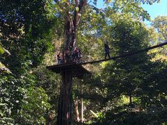 -清迈丛林飞跃 JungleFlight