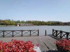 -上海海湾国家森林公园