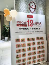 -银座Calla日式美容沙龙
