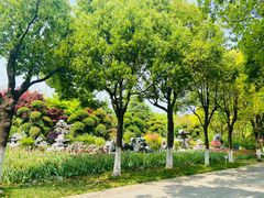 -上海鲜花港