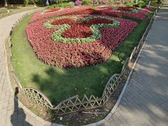 -上海共青森林公园