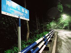 -南山植物园