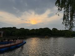 -上海鲜花港