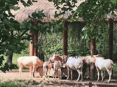 -济南野生动物世界