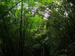 -东部华侨城
