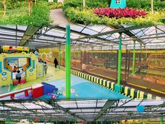 -南宫五洲植物乐园