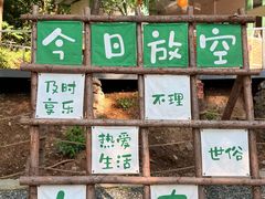 -欢乐松鼠谷