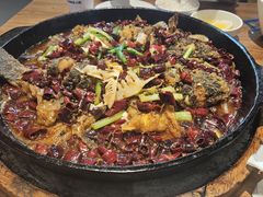 -老板恋上鱼(恒隆广场店)