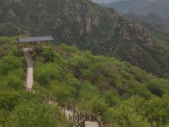 -大岭沟猕猴桃谷风景区