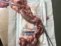 -宠福鑫动物医院(立水桥分院)