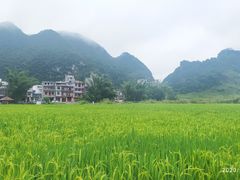 -靖西鹅泉风景区
