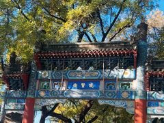 -北京国子监胡同
