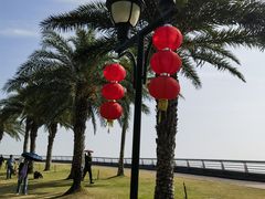 -野狸岛