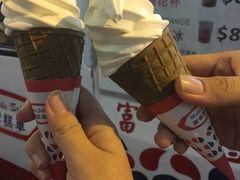 -富豪雪糕车流动点(尖沙咀)