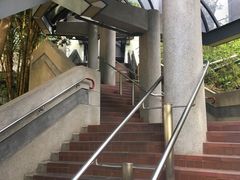 -香港大学