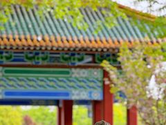 -阅江楼风景区