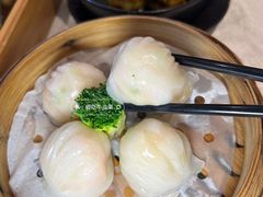 -南海渔村(珠江新城店)