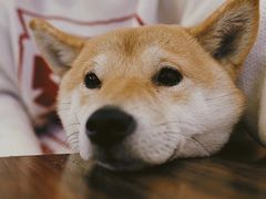 -麻辣盛艳(淮安万达店)